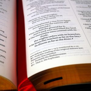 The Bible