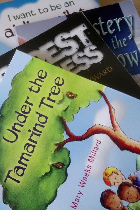 The Gift that Keeps On Giving - For 8-11 years - Gift Wrapped - Buy Christian Books & Gifts Online here